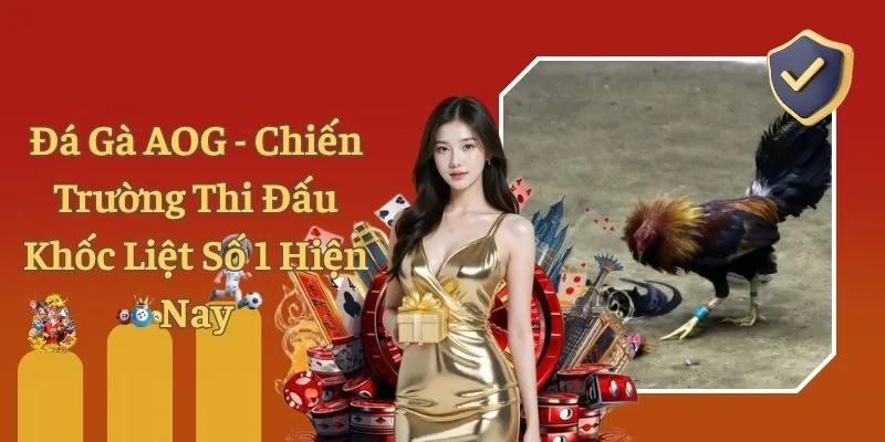 Đá Gà AOG - Chiến Trường Thi Đấu Khốc Liệt Số 1 Hiện Nay
