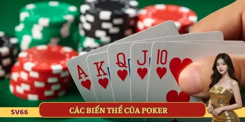 Phân loại các hình thức chơi chính của xì phé
