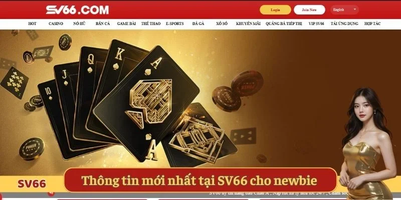 Thông tin mới nhất về nhà cái SV66 cho newbie